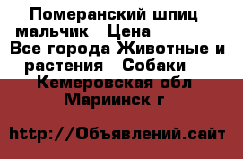 Померанский шпиц, мальчик › Цена ­ 35 000 - Все города Животные и растения » Собаки   . Кемеровская обл.,Мариинск г.